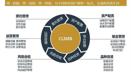 什么是 智慧 投管 中国人寿资产管理公司这样说